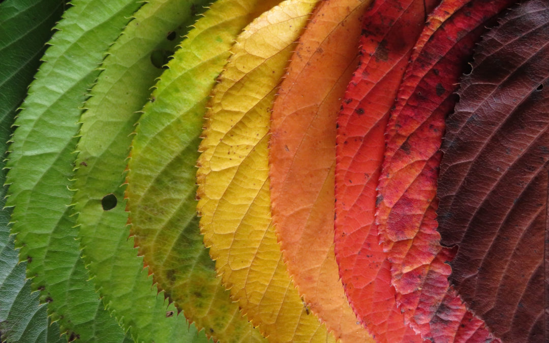 Making Changes to Empower Your Life