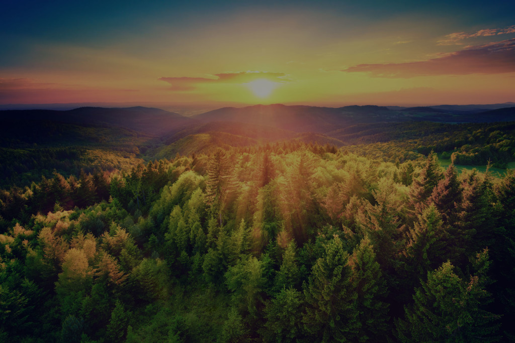 background_sunset
